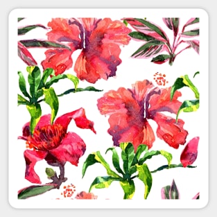 Watercolor tropical leaves and plant Sticker